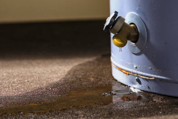 Best Local water damage restoration  in Denver, PA
