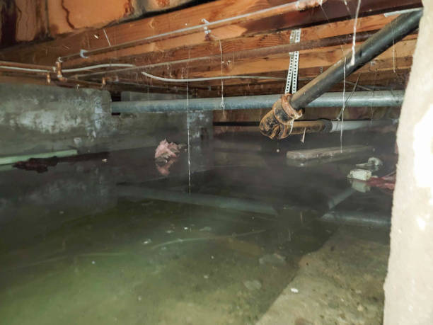 Best Water damage restoration company  in Denver, PA