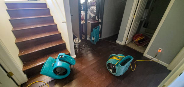 Best Emergency water extraction  in Denver, PA