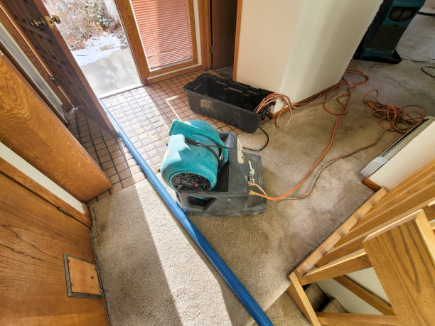 Best Water damage cleanup near me  in Denver, PA