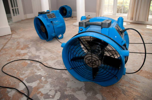 Best Sewage cleanup and water damage restoration  in Denver, PA